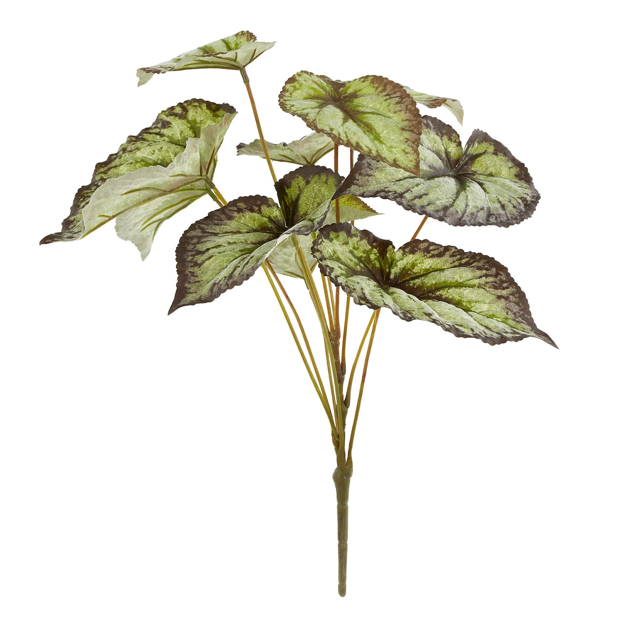 12 Pack: Green & Black Begonia Leaves Bush by Ashland®